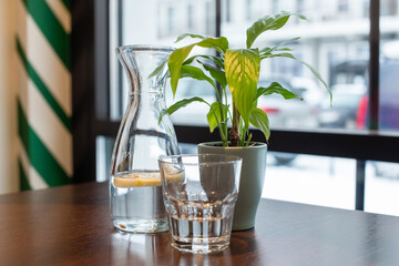 A decanter of water and lemon stands on the table next to a flower and a glass. healthy drink