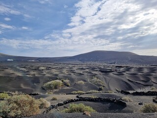 Volcanic black landscape of the Canary Island of Lanzarote, with vines dug into holes in volcanic vineyards - volcanoes (hills or mountains) in the background