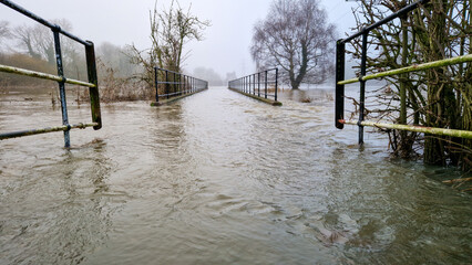 Misty Waterside Trees in Flooded Park, Burton on Trent England 2024