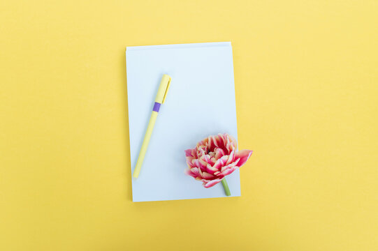 Creative flat photography desktop. Top view yellow table with blank notebooks open mockup and pencil
