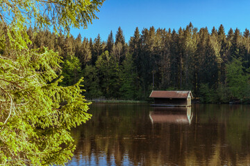 Holzhütte im Hackensee bei Holzkirchen umrahmt von Wald