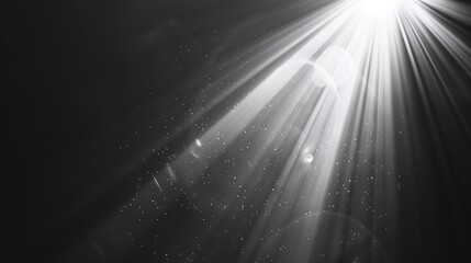 dynamic stock image featuring vibrant photo light flare effect against sleek black background