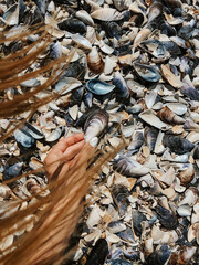 woman hand holding stones. Multicolored seashells Black Sea Romania.