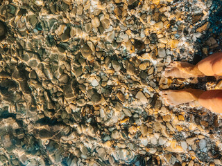 Woman legs barefoot at sea waves stones shells beach summer day. top view above women feet.