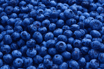 Fresh blueberry background. Texture blueberry berries close up.