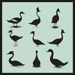 Obraz premium set of silhouettes of birds, Grebe black silhouette set vector