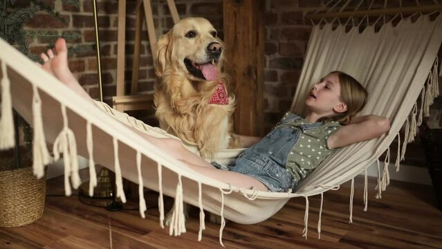 Child girl petting golden retriever dog lying in hammock at home and singing. Pretty preteen kid talkng with purebred pet doggy in loft room