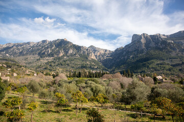 Between Soller and Fornalutx, Mallorca, Spain