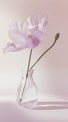 Minimalist photo of a flower in a vase