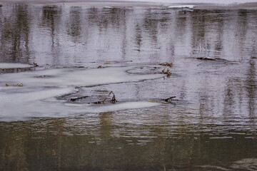 winter river in the wild