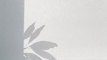 Close-up view of a mockup on a monochrome wall with soft shadows from leaves