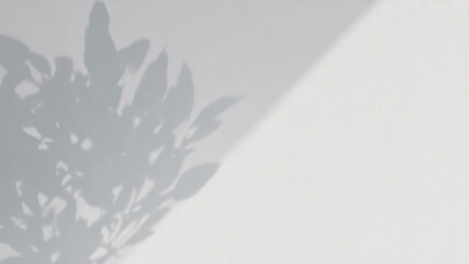 Close view of a light gray wall with soft shadows from leaves