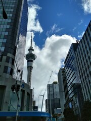 Sky tower, Auckland, New Zealand