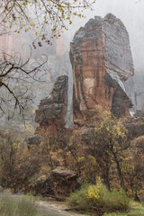 Temple of Sinawava - rises alongside the Virgin River in Zion National Park during a downpour.