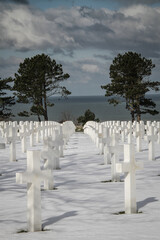 Rows and Rows -Thousands of white crosses mark the graves of fallen WWII soldiers in the American Cemetery in Normandy, France.