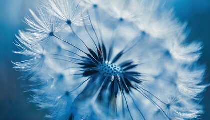 Bleu abstrait, arrière-plan fleur de pissenlit, extrême en gros plan avec mise au point douc (3).jpg, Firefly Bleu abstrait, arrière-plan fleur de pissenlit, extrême en gros plan  - obrazy, fototapety, plakaty