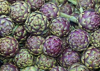 Background of large ripe green artichokes for sale at the local fruit and vegetable market