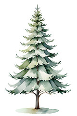 Obraz premium Isolated Christmas tree