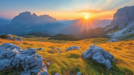 Golden sunset over alpine meadows - obrazy, fototapety, plakaty