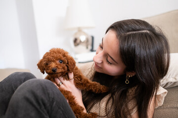 Cute teenage girl takes care of her little toy poodle puppy. New relationship and pet care.