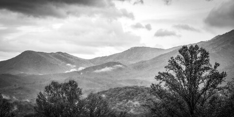 Smokey Mountains near Knoxville, TN - obrazy, fototapety, plakaty