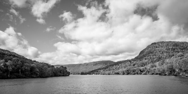 Forest and Swamp Landscapes