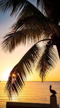 Colorful Sunsets over water