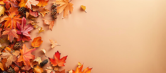 Autumn leaves on old paper background, top view, copy space