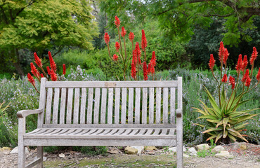 wood park bench along the garden path