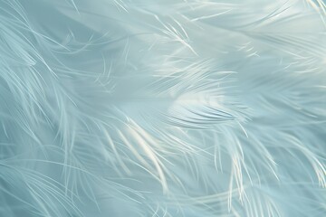 Obraz premium A close-up of soft white feathers showcasing their delicate and elegant texture.