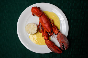 Lobster a la Newberg Red Cooked  American Seafood Dish with Rice and a Sherry or Cognac Cream Sauce, also spelled Newburg or Newburgh