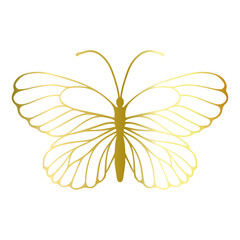 Decorative winged insect of a golden butterfly. Vector graphics.
