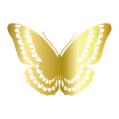 Decorative winged insect of a golden butterfly. Vector graphics.