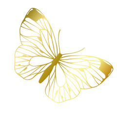 Decorative winged insect of a golden butterfly. Vector graphics.