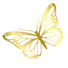 Decorative winged insect of a golden butterfly. Vector graphics. © Катерина Якубович