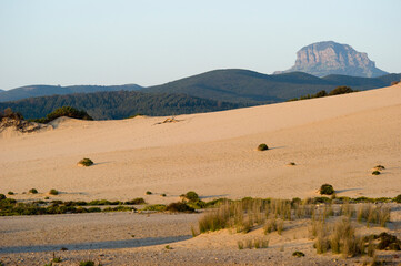 Dunes of Piscinas Mount Arcuentu Ingurtosu. Medio Campidano, Sardinia, Italy
