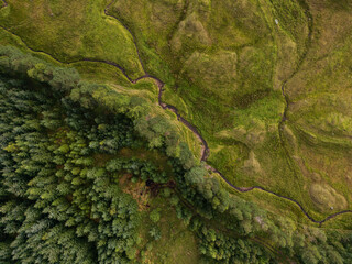 Aerial view of mountains with green grass and forest at Auch, Bridge of Orchy, Scottish Highlands
