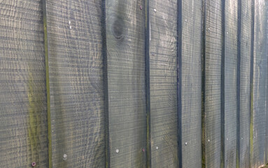 Fototapeta premium wooden texture fence background.