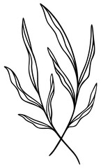 Obraz premium Leaf Line Art | Tropical Leaves | Leafy Branch | Botanical Vector Illustration