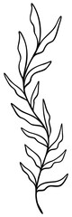 Leaf Line Art | Tropical Leaves | Leafy Branch | Botanical Vector Illustration