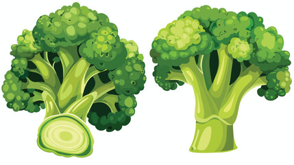 Broccoli Vegetable Fresh Farm Healthy Food Isolated