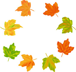 Autumn leaf leaves. Fall leaves maple, oak.Natural colorful illustration on transparent, png.