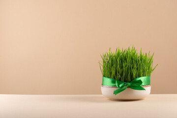 Traditional Novruz semeni wheat glass decorated with ribbon on neutral beige shebeke background and white blooming branch, celebration of spring equinox in Azerbaijan - obrazy, fototapety, plakaty
