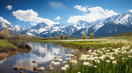 Fototapeta na wymiar Flowers in the Foreground Amplifying Mountain Majesty. Alpine Bloom.