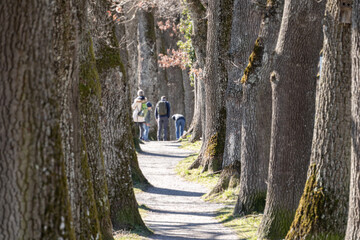 Allee in Murnau am Staffelsee