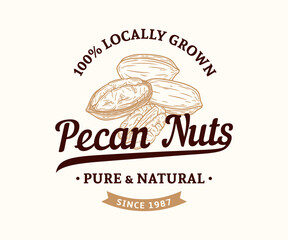 Vector pecan vintage logo. Nuts label design. Pecan nut kernels and shells illustration