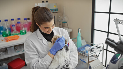 A young hispanic woman veterinarian examines a biewer terrier in a brightly-lit laboratory environment.