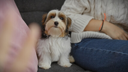 Young hispanic woman sitting with her beautiful biewer yorkshire terrier indoors at home.