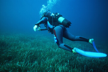 scuba diver in the sea Capo Caccia, Alghero, Prateria di Posidonia oceanica. - obrazy, fototapety, plakaty