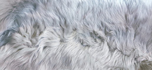 Silver white animal fur texture background